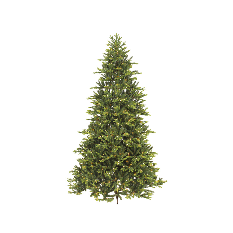 Celebrations, Celebrations  4-1/2 ft. Queensland  LED  400 count Kingswood Fir  Color Changing Hinged Tree