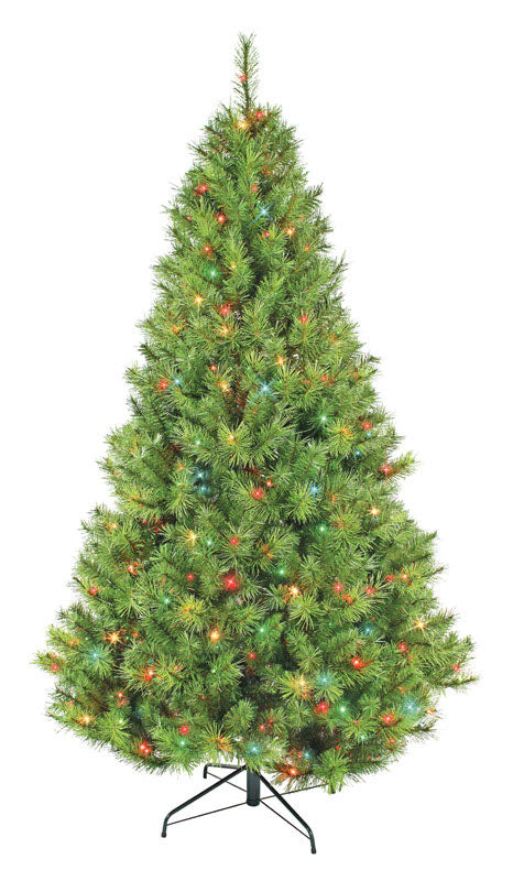 GREENFIELDS CHRISTMAS TREE MAN, Celebrations  7-1/2 ft. Multicolored  Prelit Scotch Pine  Artificial Tree  500 lights