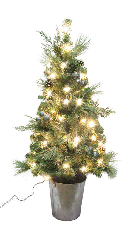 GREENFIELDS CHRISTMAS TREE MAN, Celebrations  Home  4 ft. PVC  Prelit 50 count Porch Tree