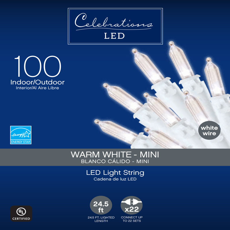 Celebrations, Celebrations LED Clear/Warm White String Christmas Lights 24.75 ft.