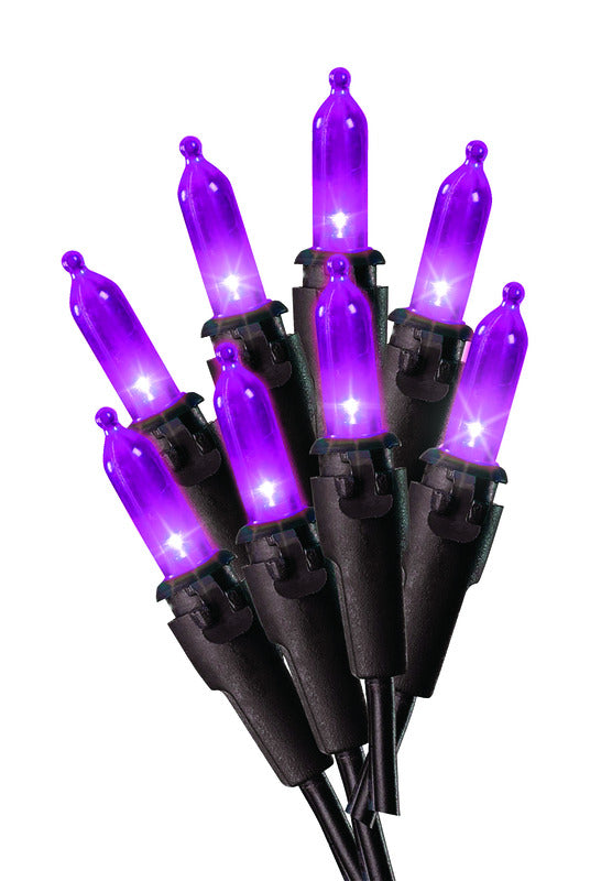 ACE TRADING - WEC, Celebrations Purple 50 ct LED String Lights