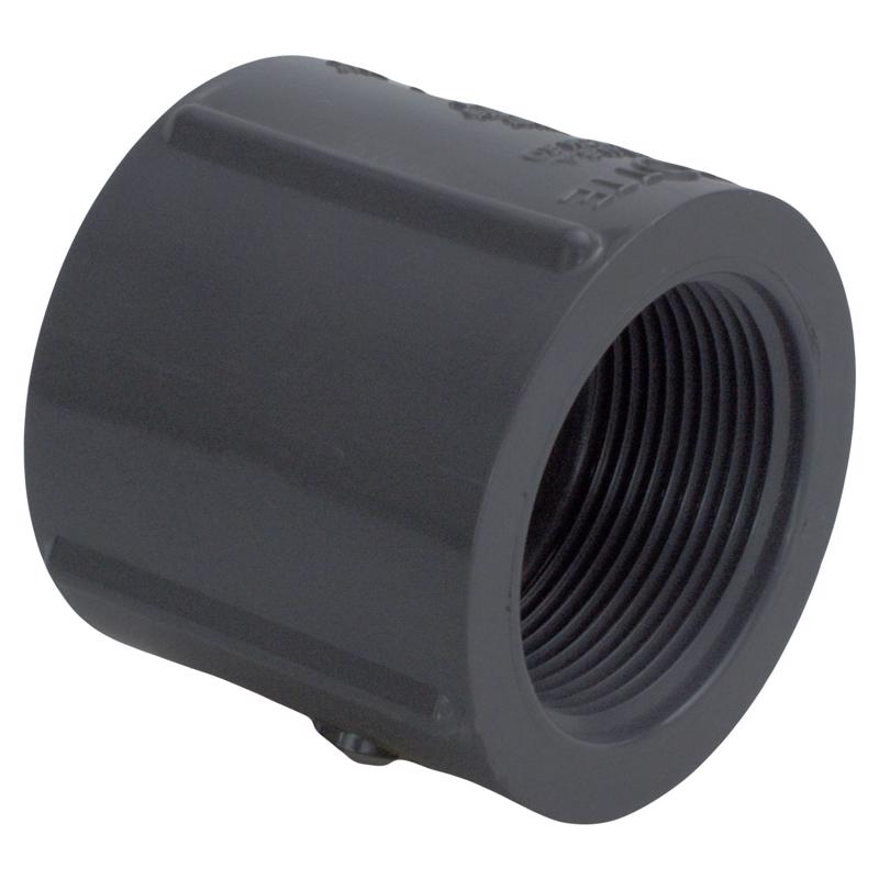 CHARLOTTE PIPE & FOUNDRY CO, Charlotte Pipe Schedule 80 1 in. FPT X 1 in. D FPT PVC Coupling 1 pk