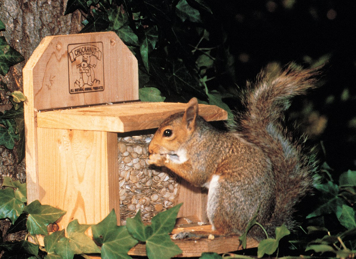 CHUCKANUT PRODUCTS INC, Chuckanut Cedar Squirrel Feeder